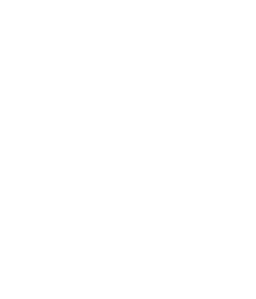 レミスティック（全国出張可）